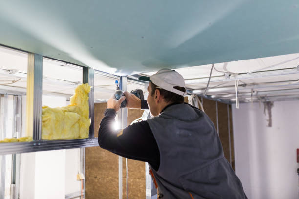 Types of Insulation We Offer in Lake Of The Woods, IL
