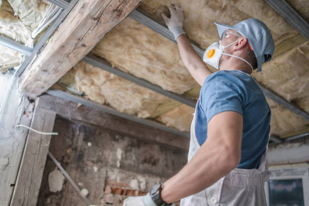 Best Geographic-Specific Insulation Services in Lake Of The Woods, IL