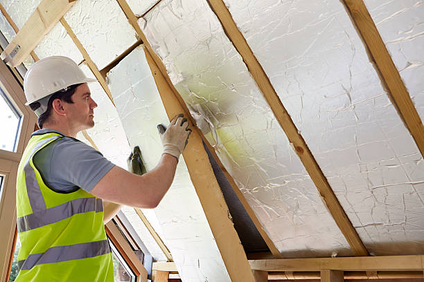 Best Spray Foam Insulation in Lake Of The Woods, IL