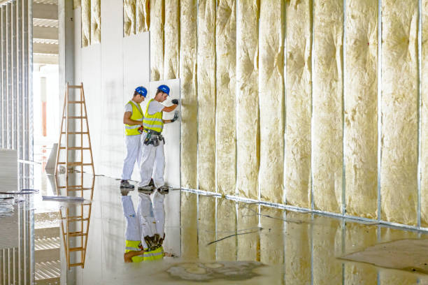 Best Insulation for Specific Applications in Lake Of The Woods, IL